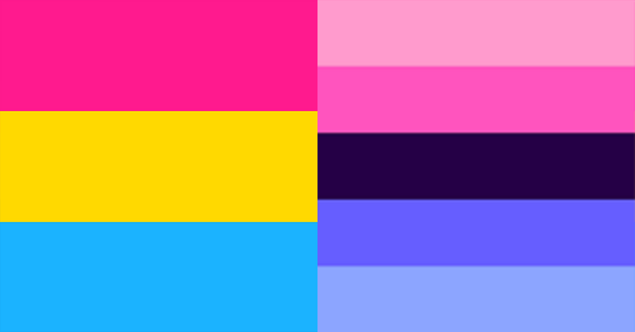 Pansexual vs Omnisexual - What is the Difference?