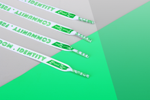 Load image into Gallery viewer, Aromantic Pride Flag Love Lace Locks-Pride Lace Locks-LLHC_AROM