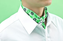 Load image into Gallery viewer, Aromantic Pride Flag Twilly Scarf-Pride Twilly-TS_AROM