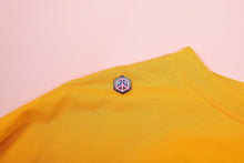 Load image into Gallery viewer, Omnisexual Flag - Peace Cube Pin-Pride Pin-PCZC_OMNI